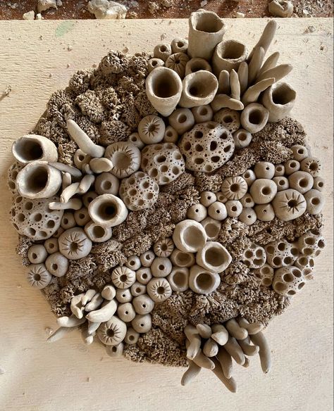 Coral Ceramic Art, Coral Clay Sculpture, Coral Reef Ceramics, Organic Ceramic Sculpture, Coral Ceramics, Halloween Ceramics Ideas, Ceramic Coral Reefs, Clay Coral, Coral Clay