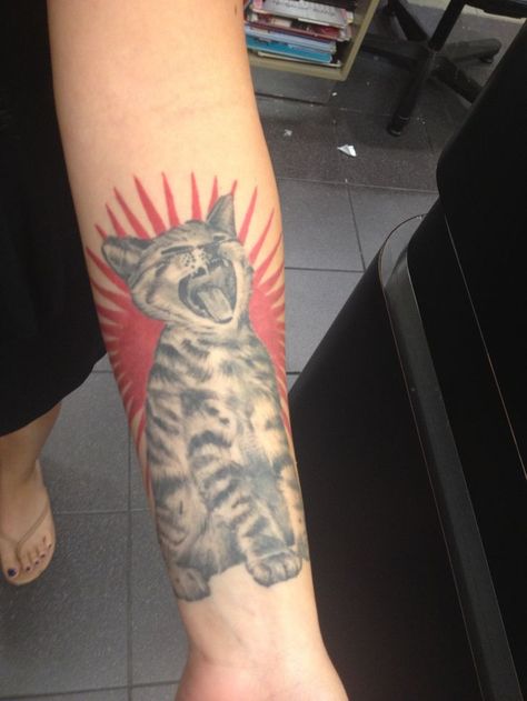 MORE TATTOO IDEAS Cars tattoos on arms Flowers tattoo design Bear tattoos on back Different flags tattoo Tattoo by Adam... Deftones Cat Tattoo, Arm Cat Tattoo, Deftones Cat, Deftones Tattoo, Kiss Tattoos, Cat Tatto, Tattoo On Arm, Back Of Arm Tattoo, Inner Arm Tattoo