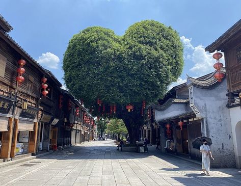 Sanfang Qixiang, literally Three Lanes and Seven Alleys in Fuzhou, Fujian province was built during the late Western Jin Dynasty (265-316). Known as “the museum of architecture of Ming and Qing dynasties”, it is one of China’s largest preserved historical and cultural blocks. Jin Dynasty, Banyan Tree, China Travel, Qing Dynasty, Travel And Tourism, Sustainable Materials, Tourism, Street View, Architecture