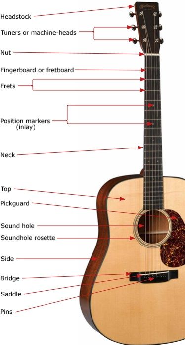 101-anatomy-acoustic Songs Guitar, Learn Acoustic Guitar, Acoustic Guitar Case, Learn Guitar Chords, Basic Guitar Lessons, Guitar Lessons Songs, Online Guitar Lessons, Acoustic Guitar Lessons, Guitar Chords For Songs