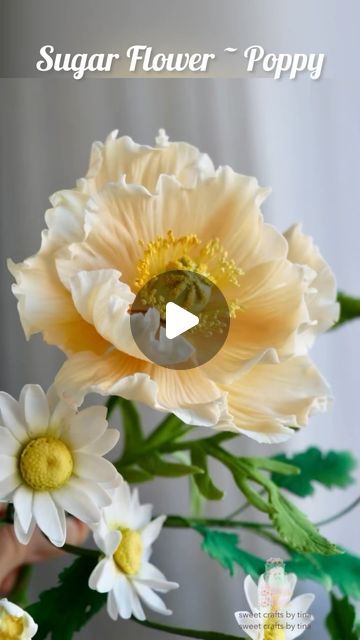 Tina Chen on Instagram: "This is a brand-new handmade sugar poppy center I’ve created. I aim to make increasingly realistic centers freehand. If you don’t have a center mold available, you can use this tutorial as a reference. I hope it helps!  #poppy  #sugarflowerclass #sugarpaste #floralcrafts #edibleflowers #waferpaperflower #weddingcake #sugarflowers #sugarflower #ediableflowers  #waferpaperflowers #gumpasteflowers #gumpaste #gumpasteflower #flowerpaste #sugarart #weddingcakedecoration #cakedecorating #handmadeflowers  #sugarflowersclass #handmadeflowerclass#waferpaper  #威化紙花 #蛋糕裝飾 #英式糖花 #糖花課程 #ウェーハーペーパー #手作り#可食ペーパー" Fondant Poppy Flowers, Rice Paper Flowers Tutorial, Sugarcraft Flowers, Sugarpaste Flowers, Sugar Flowers Cake, Sugar Flowers Tutorial, Wafer Paper Flowers, Icing Flowers, Stevia Plant