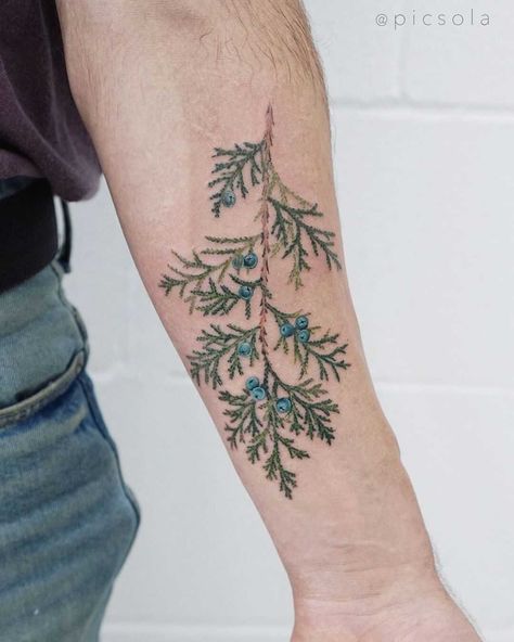 Juniper branch tattoo by tattooist picsola - Tattoogrid.net Juniper Bush Tattoo, Juniper Leaf Tattoo, Juniper Tattoo Branches, Evergreen Branch Tattoo, Pine Bough Tattoo, Juniper Berry Tattoo, Juniper Branch Tattoo, Conifer Tattoo, Northwoods Tattoo