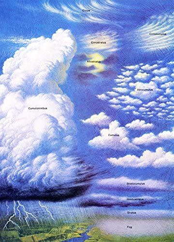 Amazon.com: Clouds Poster, Cloud Classification Poster, Weather, Lightning, Clouds, Stratus, Cirrus, Cumulonimbus: Prints: Posters & Prints Cloud Classification, Lightning Clouds, Cumulonimbus Clouds, Cirrus Cloud, Cloud Type, Advertising Posters, Vintage Advertising Posters, Watercolor Tutorials, Cloud Art