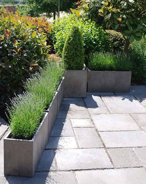 venice-trough-planters-lightweight-concrete-pots-25 Rectangle Pots Planters, Large Rectangle Planters Outdoor, Narrow Planter Ideas, Rectangle Planters Outdoor, Rectangular Planters Outdoor, Garden Trough Planters, Concrete Trough, Cube Planter, Large Garden Planters