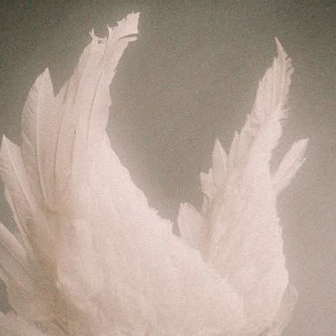 Angelcore App Icons, Guardian Angels Aesthetic, Angel Romance Aesthetic, Modern Angel Aesthetic, Biblical Angel Aesthetic, Gold Angel Aesthetic, Angel Love Aesthetic, Angel White Aesthetic, Avian Aesthetic