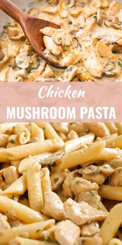 Pasta Recipes Video, Chicken Mushroom Pasta, Creamy Chicken Pasta Recipes, Resep Pasta, Seared Chicken, Creamy Chicken Pasta, Chicken Mushroom, Best Pasta Recipes, Mushroom Pasta