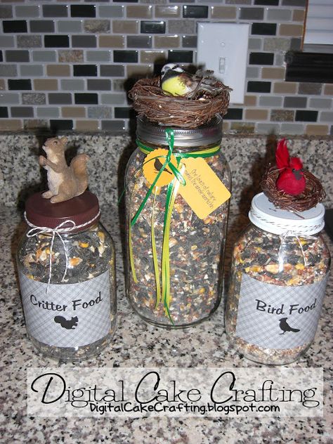 So cute for bird-lovers - Bird Seed Gift Jar Bird Feeder Gift, Squirrel Gift, Diy Stocking Stuffers, Food Jars, Gift Jar, Diy Gift Baskets, Cake Craft, Mason Jar Gifts, Ball Jars