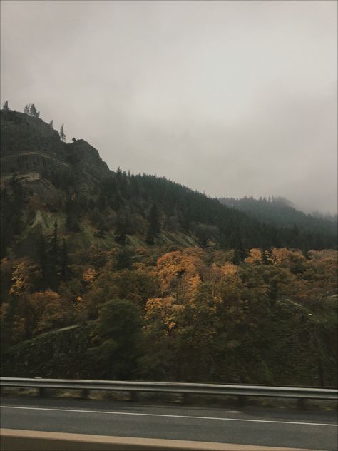 Pnw Fall Aesthetic, Pnw City Aesthetic, Pnw Fall, Pnw Autumn Aesthetic, Washington State Aesthetic Fall, Pacific Northwest Fall, Pnw Scenery, Pnw Aesthetic, Fall Mood Board