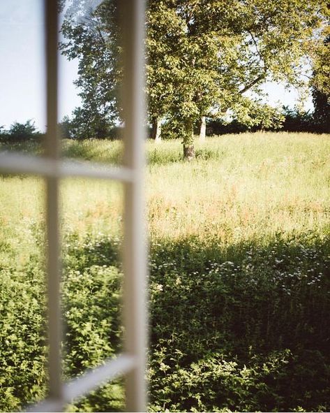 Albus Dumbledore, Window View, French Countryside, English Countryside, Slow Living, Pretty Places, Country Life, Country Living, Farm Life