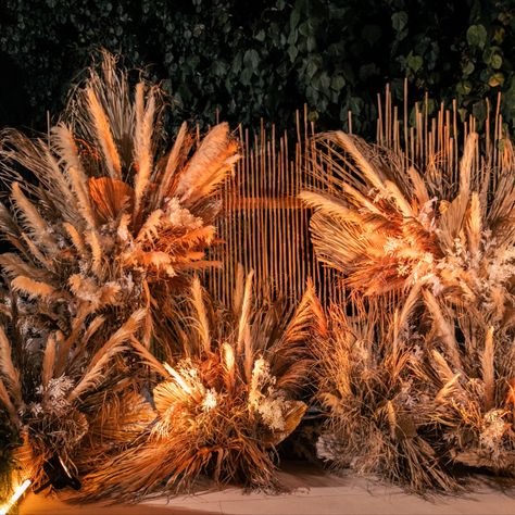 Avion Tequila Launch, Dubai 2022. Backdrop created using dried palms, pampas grass, soft lighting, bamboo. Photo Moment, Backdrop Photo, Pampas Grass, Backyard Wedding, Soft Lighting, Tequila, Dubai, In This Moment, Lighting