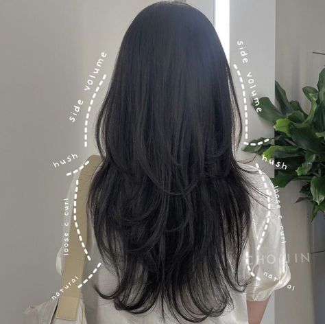 Asian Hair Long Straight, Thick Hair Haircut Face Framing, Asian Layered Hair Medium Straight, Layers Haircut Asian, Wolfcut Hair Thick Hair, Best Asian Hairstyles For Women, Layer V Haircut, Jelly Haircut Long, Layers For Asian Hair