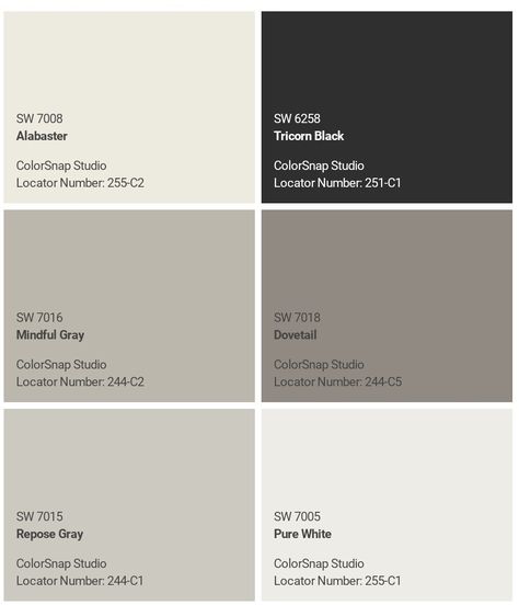 Accessible Beige And Tricorn Black, Paint Colors That Go With Tricorn Black, Open Concept Color Scheme, Tricorn Black Color Palette, 2024 Color Palette, Sherwin Williams Greige, Tricorn Black, House Paint Color Combination, House Paint Interior