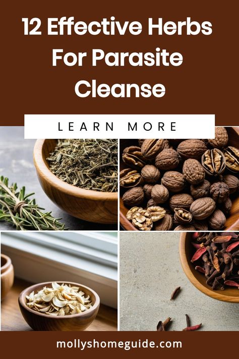 Looking for a natural way to cleanse your body from parasites? Explore the power of herbs for parasite cleanse. These herbs are known for their ability to help eliminate parasites and detox your system. Incorporating these herbs into your diet can support you in maintaining a healthy, parasite-free body. Learn more about the benefits of herbal parasite cleanse and how it can contribute to your overall well-being. Consider including these powerful herbs in your anti-parasite diet to effectively r Anti Parasitic Natural Remedies, Herbs To Get Rid Of Parasites, Natural Remedies For Parasites, Parasite Tincture Recipe, Herbs That Kill Parasites, Parasite Cleanse Tincture Recipe, Natural Anti Parasitic, Kill Parasites Naturally, Black Walnut Parasite Cleanse