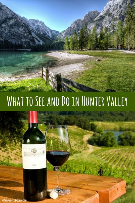 What to See and Do in Australia's Hunter Valley. Click here to find out more: http://withlovefromlou.co.uk/2017/12/see-hunter-valley/ Australia Itinerary, Wine Vineyards, Winery Tours, Australian Travel, Hunter Valley, Visit Australia, Winter Getaway, Travel Australia, The Hunter