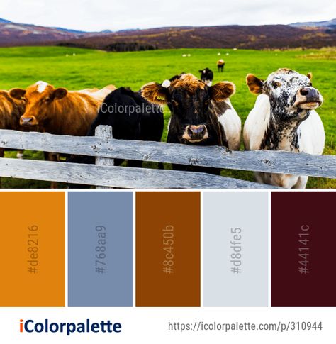 Color Palette Ideas from Cattle Like Mammal Pasture Dairy Cow Image Cow Color Palette, Best Color Palettes, Popular Color Palettes, Cow Colour, Color Palette Ideas, Names List, Dairy Cow, Color Schemes Colour Palettes, Palette Ideas