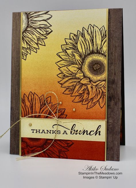 Sunflower Cards Handmade, Sunflower Stamp, Card Making Flowers, Sunflower Theme, Flowers Cards, Sunflower Cards, Hand Made Greeting Cards, Hand Stamped Cards, Stamping Up Cards