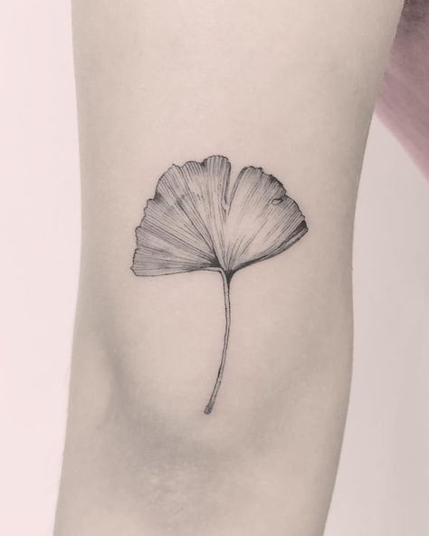 Gingko Biloba tattoo by Annelie Fransson Ginkgo Tattoo, Blatt Tattoos, Vancouver Tattoo, Ginko Biloba, Cage Tattoos, Gingko Biloba, Nouveau Tattoo, Belly Tattoos, Ribcage Tattoo