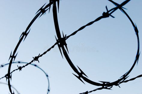 Razor Barbed Wire. Against blue sky , #affiliate, #Barbed, #Razor, #Wire, #sky, #blue #ad Razor Wire, Barbed Wire, Business Flyer, Flyer Design, Sky Blue, Blue Sky, Stock Images, Bar, Blue