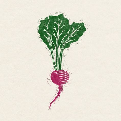 Believe it or not, beets are one of my favorite veggies 🤌 We make a beet + dill based soup called Borscht and I think I could eat it forever and never be tired of it 😆 That's why I chose to draw a beet for today's prompt of "veggie garden" -- when we finally have a yard/garden, I will def be planting these babies 💕 @theydrawandcook Day 15 - Veggie Garden #theydrawtober #theydrawandcook #theydrawtober24 #inktober #inktober2024 Vegetable Drawing, Veggie Art, Vegetable Illustration, Veggie Garden, Beets, Linocut, Planting, Art Inspo, To Draw