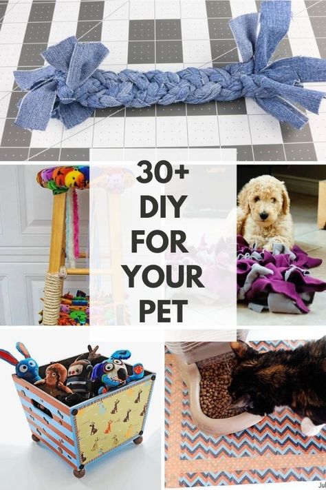 Looking for free projects to make for your dog or cat? These DIY crafts for dogs and the crafts for cats will keep your pet happy and healthy. Dog Craft Ideas To Sell, What To Use Instead Of A Cone For A Dog, Diy Pet Accessories To Sell, Pet Crafts To Sell, Homemade Dog Accessories, Diy Pet Gifts, Things To Make For Cats, Diy Stuff To Make, Crafts For Cats