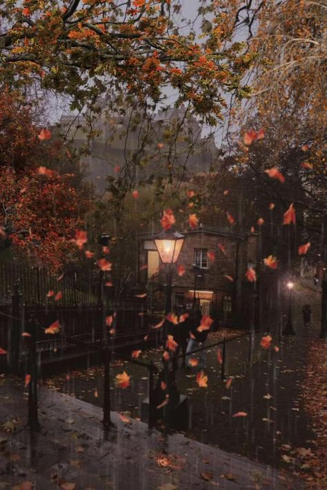 Rainy Christmas Aesthetic, Rainy Fall Night, Autumn Cozy Rainy Days, Downpour Aesthetic, Nature Rain Wallpaper, Autumn Night Aesthetic, Rainy Autumn Aesthetic, Rainy Christmas, Rainy Night Aesthetic