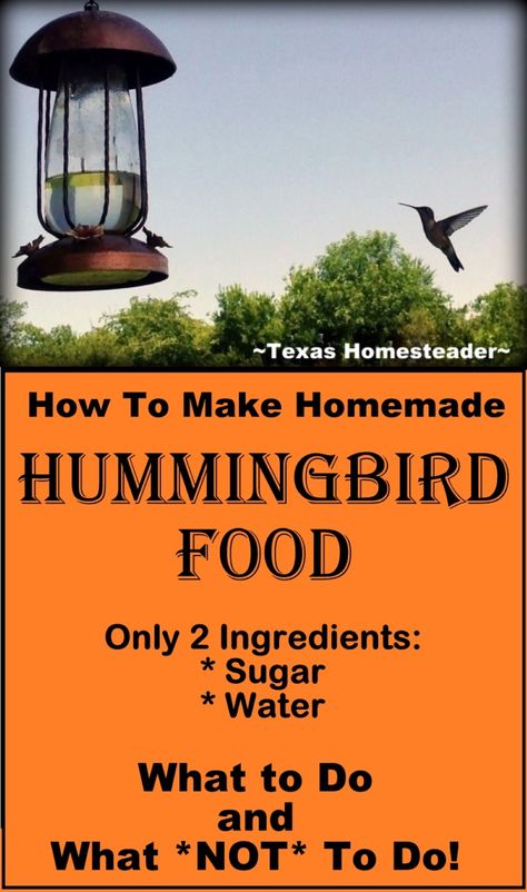 Easy 2-Ingredient Homemade Hummingbird Food. ~ Texas Homesteader ~ How To Make Hummingbird Food, Diy Hummingbird Food, Sugar Water For Hummingbirds, Hummingbird Food Recipe, Make Hummingbird Food, Homemade Hummingbird Nectar, Homestead Hacks, Homemade Hummingbird Food, Homesteading Inspiration