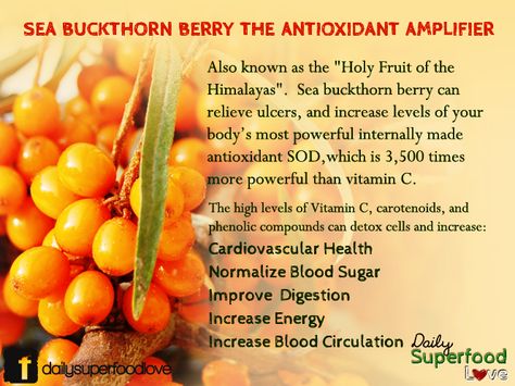 Do you know that sea buckthorn are rich in Vitamin C? #seabuckthorn #benefits #healthy #health Sea Buckthorn Benefits, Benefits Of Organic Food, Legal Notice, Sour Fruit, Herbs For Health, Healthy Food Options, Eating Organic, Sea Buckthorn, Healthy Kitchen