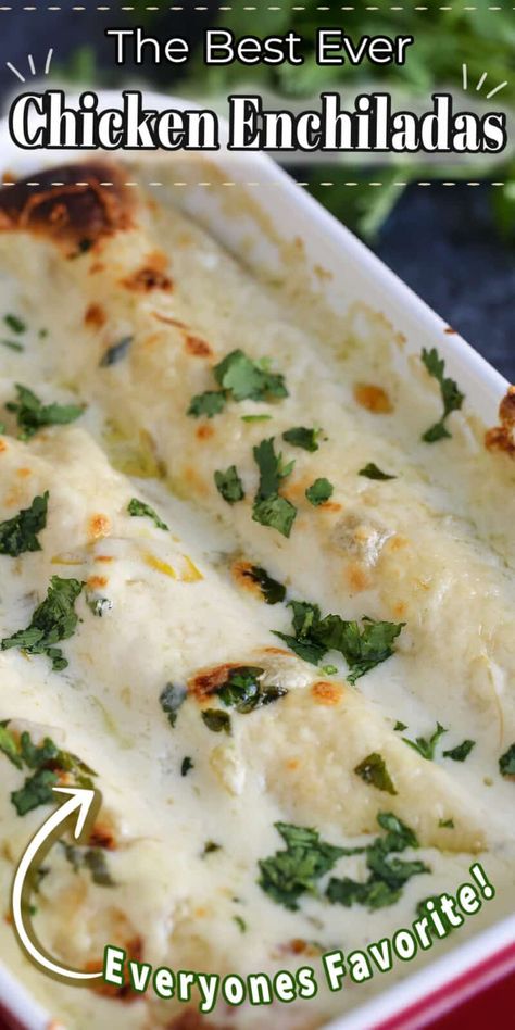 Creamy Chicken Enchiladas Recipe, Best Ever Chicken, Easy Chicken Enchilada Recipe, Sour Cream Enchiladas, Crispy Baked Chicken Thighs, Chicken Enchiladas Recipe, White Chicken Enchiladas, Creamy Chicken Enchiladas, Sour Cream Chicken