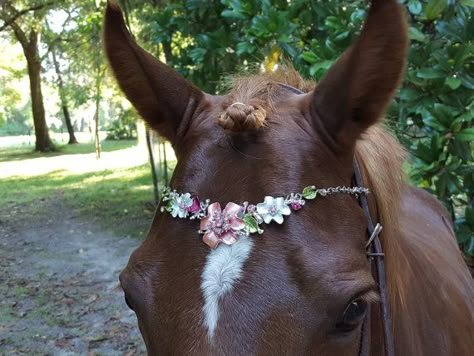 Bling Tack, White Flower Garden, Horse Costume, Face Jewelry, Horse Costumes, Fantasy Horses, Face Jewellery, Horse Accessories, Horse Things