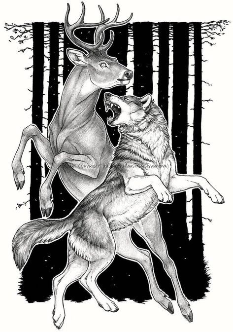 Fantasy Animals Drawing, Scratchy Drawing, Wolf Drawing Reference, Canine Drawing, Deer Drawing, Wolf Drawing, Canine Art, Last Moment, Deer Art