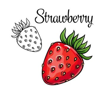 Victoria_sergeeva | Freepik Strawberry Drawing, Vegetable Drawing, Party Icon, Decoupage Printables, Fruits Drawing, Graduation Party Themes, Christmas Typography, Page Decoration, Food Pyramid