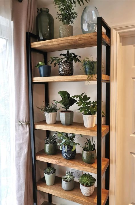 My husband surprised me and made this beautiful shelf for my indoor plants. I absolutely love it and hope my plants will too 😍 by Eva Kondrate, vF 5-1-22 Bookcase For Plants, Succulents Shelves, Shelves For Apartments, Plants On Stairs Indoors, Plant Shelves With Grow Lights, Shelves With Grow Lights, Corner Plant Shelves, Indoor Plant Shelf Ideas, Plant Shelves Bedroom