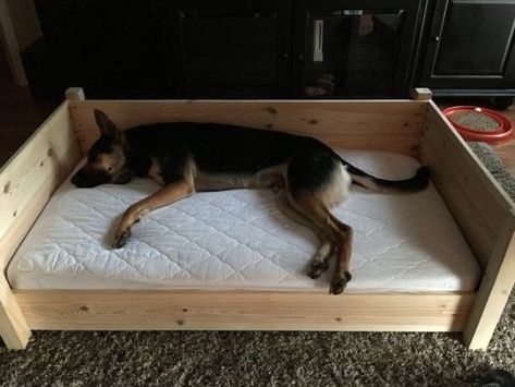 Crib Mattress Dog Bed, Dog Bed Frame, Big Dog Beds, Wood Dog Bed, Pallet Dog Beds, Diy Pet Bed, Mattress Dog Bed, Diy Dog Bed, Dog Rooms