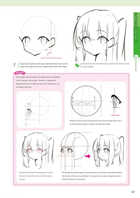 Anime Head Anatomy, Drawing Female Head, Anime Head Tutorial, Anime Head Reference, Head Tut, Draw Head, Head Tutorial, Digital Art Tutorial Beginner, Poses Female