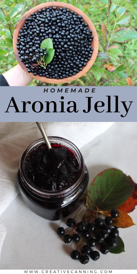 Aronia Jelly Aronia Berry Recipes, Homestead Canning, Berry Jam Recipe, Canning Jams, Ancestral Diet, Kitchen Witchcraft, Aronia Melanocarpa, Aronia Berry, Pineapple Jelly