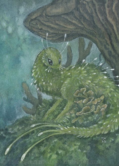 Faerie Forest: Moss Sprite ACEO | Teal Newcomb on Patreon Magic Forest Creatures, Forest Creature Art, Faerie Creatures, Forest Creatures Mythical, Forest Creature Concept Art, Mythical Forest Art, Fairies Design, Moss Creature, Moss Creature Art