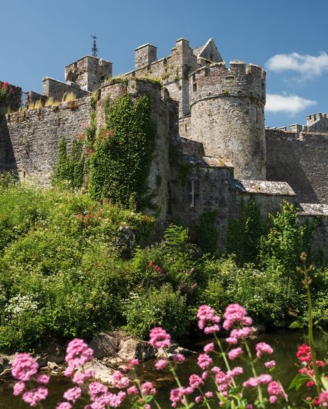 The summer in Ireland is magical. ✨ Some might say it rains a lot. But if it didn’t, it wouldn’t be as lush and green. 🌿🙌  📍Cliffs of Moher, County Clare 📍The Swiss Cottage, County Tipperary 📍Killarney National Park, County Kerry 📍Garnish Island, County Cork 📍Bantry, County Cork 📍Cahir Castle, County Tipperary Cork Ireland Photography, Ireland Core, Cahir Castle, Ireland Roadtrip, Summer In Ireland, Ireland Islands, Ireland Summer, Tipperary Ireland, Ireland Aesthetic