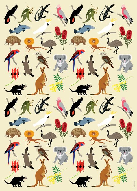 This beautiful wrapping paper will add extra impact when giving your Australian gift. The wrapping paper has been made in Australia and designed by WilsonPayne. Based on the Aussie Wildlife Teatowel, this gift wrap has been assembled into a collage of flora and fauna to capture the essence of Australia. Kangaroos, Wombats, Pink Galahs, Echidnas and Possums as well as Golden Wattle and Bottlebrush are featured on the wrapping paper. Printed in Australia on 113gsm acid free, FSC accredited paper. Australian Animals Illustration, Australia Embroidery, Doodling Animals, Australian Prints, Australia Culture, Australia Illustration, Australia Wildlife, Zoo Logo, Wildlife Design