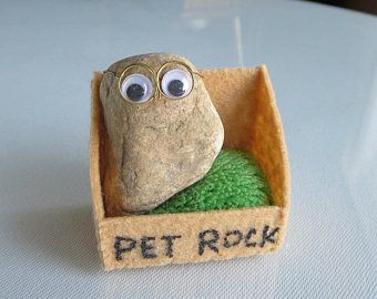 Pet Rocks Ideas, Summer Camp At Home, Pet Stones, Camp At Home, Cute Diy Ideas, Felt Plushie, B Day Gifts, Pet Rock, Sloth Stuffed Animal