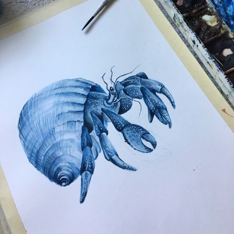 Hermit Crab Drawing, Watercolour Sea, Crab Watercolor, Coral Reef Art, Crab Illustration, Sea Glass Artwork, Crab Tattoo, Sea Creatures Art, Hermit Crabs