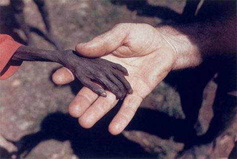 121clicks.com30 Most Shocking & Heart Touching Photographs Ever Made - 121Clicks.com Kevin Carter, Powerful Pictures, World Press, Photo Report, Powerful Images, We Are The World, Make You Cry, It Goes On, Reality Check