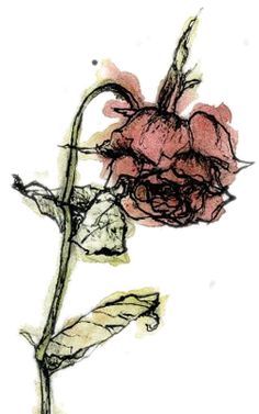 A Wilted Rose on Pinterest | Rose Paintings, Cool Paintings and Roses Rose Paintings, Wilted Rose, Wilted Flowers, Rose Sketch, Rose Drawing, Flower Sketches, Roses Drawing, Have Inspiration, Rose Art