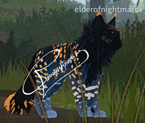 Free Wcue Morph Ideas, Warrior Cats Ideas Morphs, Morph Ideas Warrior Cats, Wcue Morphs Idea, Wcue Morph Ideas No Gp, Warrior Cat Morph Ideas, Wcue Morph Ideas For Free, Warrior Cats Morph Ideas, Wcue Inspiration