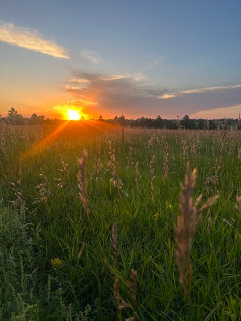 Sunset over meadow with wheat Traumatic Livelihood, Meadow Sunset, Sunset Meadow, Travel Views, Gorgeous Places, Art Competitions, 4 Seasons, Bingo, Wheat