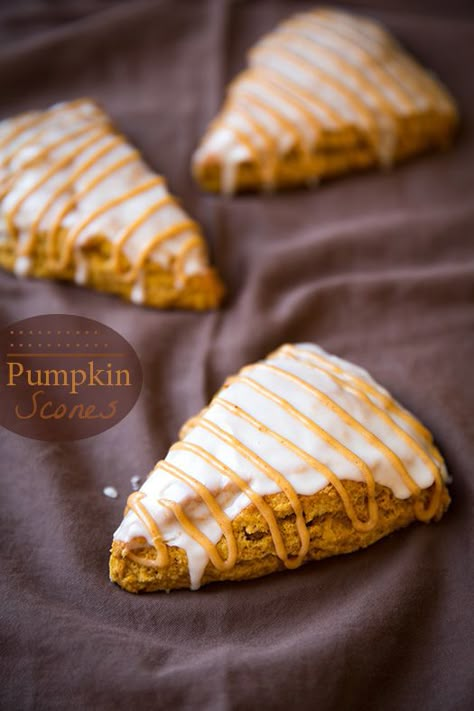 Pumpkin Scones {Starbucks Copycat} - these are seriously delicious! Pumpkin Scones Starbucks, Cinnamon Chip Scones, Pumpkin Scones Recipe, Pumpkin Scones, Starbucks Pumpkin, Starbucks Copycat, Cooking Classy, Gluten Free Pumpkin, Scone Recipe