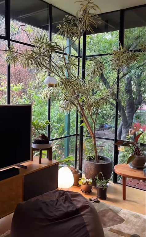 Plant Vibes, Apartment Inspiration, Interior And Exterior, Apartment, Exterior, Living Room, Plants, Furniture, Home Decor