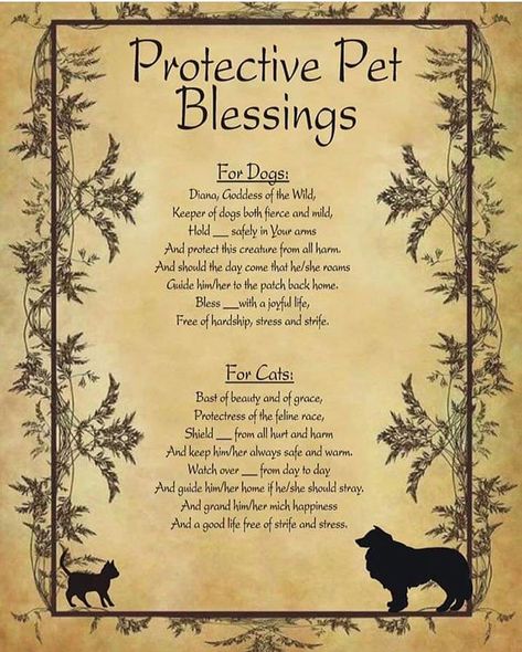 Ruby Starling on Instagram: “#wicca #wiccan #wiccansofinstagram #witchcraft #witch #witchesofinstagram #ouijaboard #ouija #planchette #pagan #pagansofinstagram…” Halloween Spell Book, Witchcraft Spells For Beginners, Halloween Spells, Egiptul Antic, Arte Occulta, Spells For Beginners, Wiccan Magic, Grimoire Book, Eclectic Witch