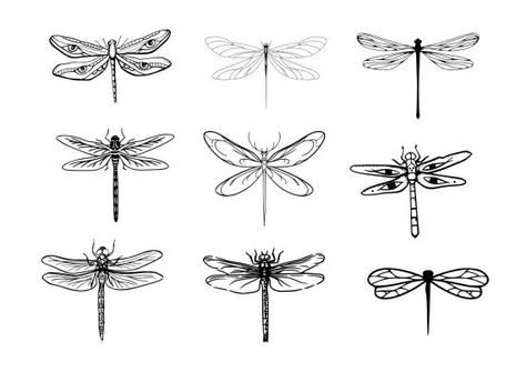 Dragonfly Tattoo Black Women, Three Dragonflies Tattoo, Dragon Fly Tattoo Drawing, Minimalist Dragonfly Tattoo Simple, Dragon Fly Line Tattoo, Dragonfly Flash Tattoo, Dragonfly Tattoo Design Small, Simple Dragon Fly Tattoos, Simple Dragonfly Tattoo Outline