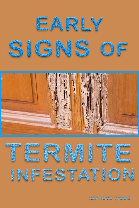 infested wood by termites Signs Of Termites, Termite Prevention, Bad Bugs, Termite Damage, Diy Pest Control, Termite Control, Plant Diseases, Wood Pieces, Pest Control