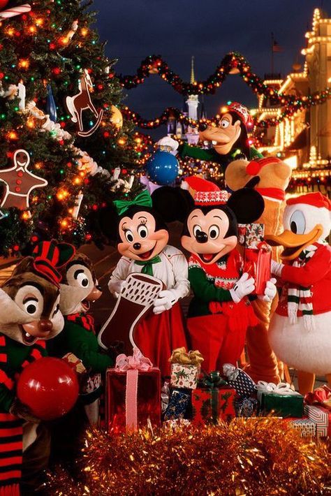 Disneyland Paris Christmas, Disney Merry Christmas, Disneyland Christmas, Disney World Christmas, Disney Paris, Very Merry Christmas Party, Mouse Christmas, Mickey And Minnie Mouse, Disney Cosplay